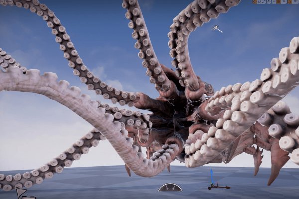 Kraken forum